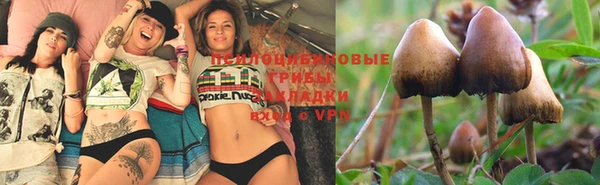 a pvp Баксан